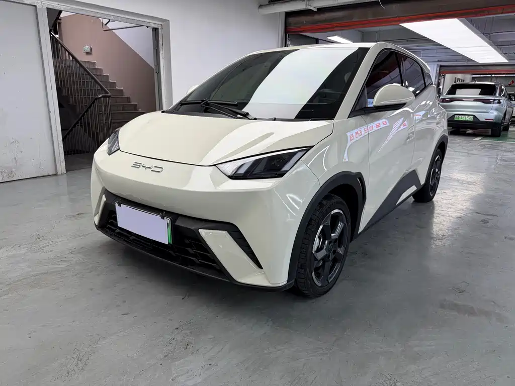 BYD Seagull 2024