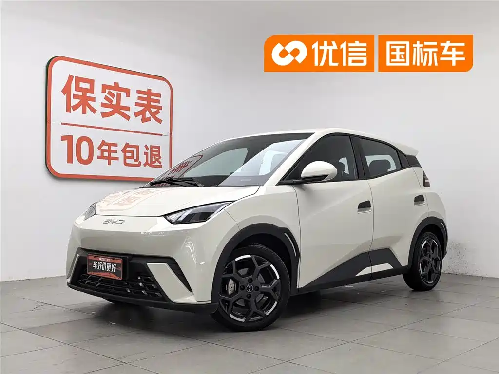 BYD Seagull 2024