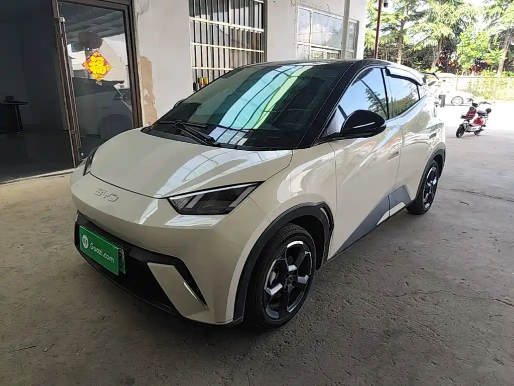 BYD Seagull 2024