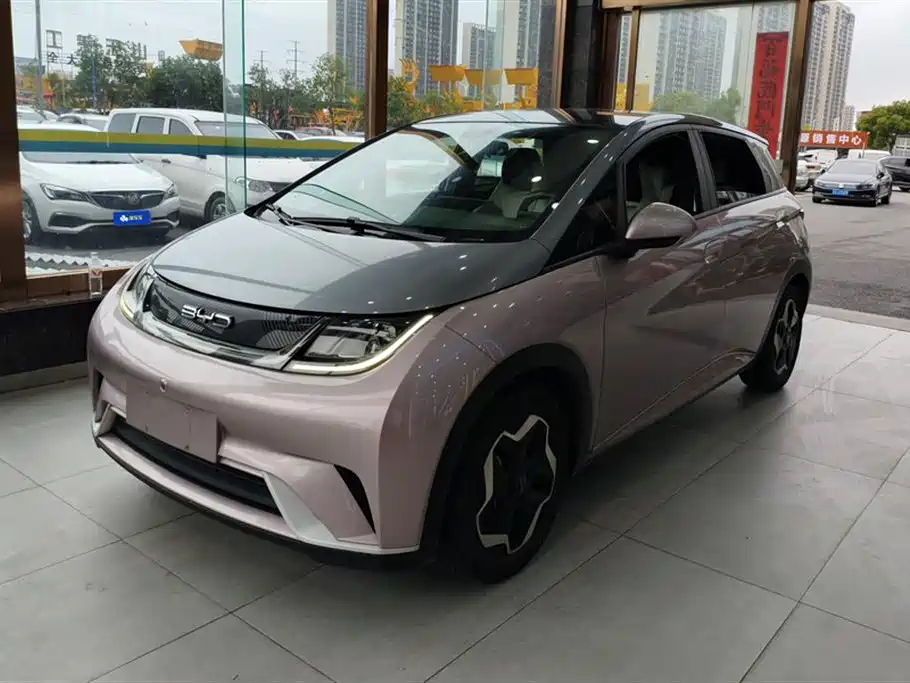 BYD Dolphin 2022