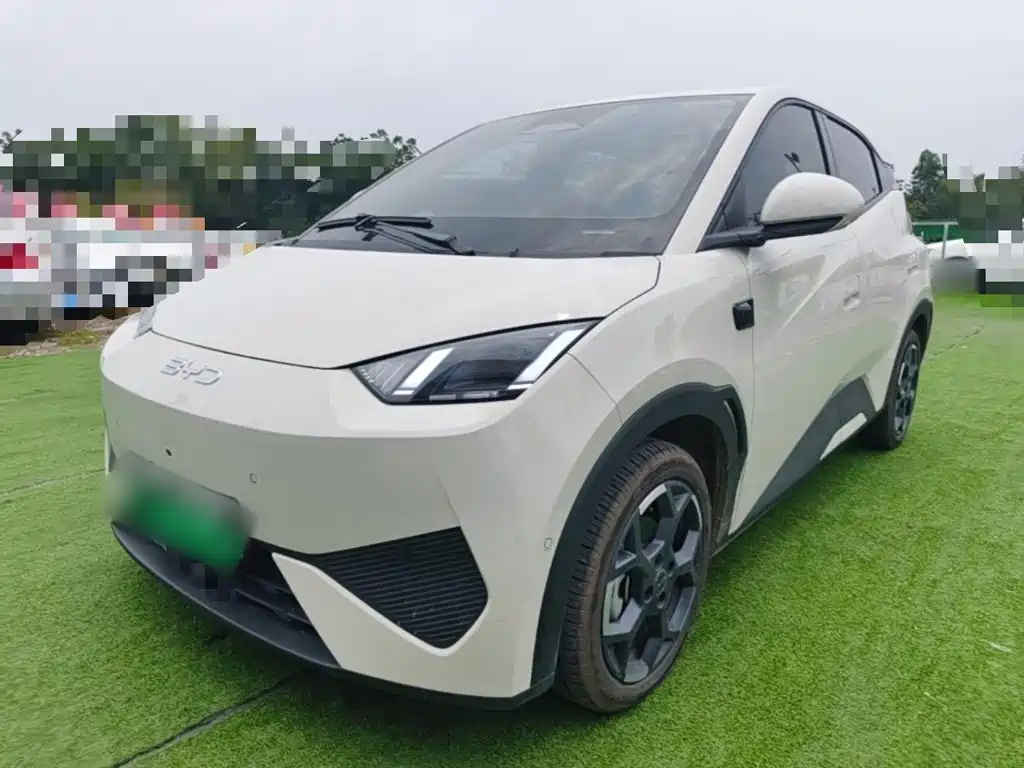 BYD Seagull 2025