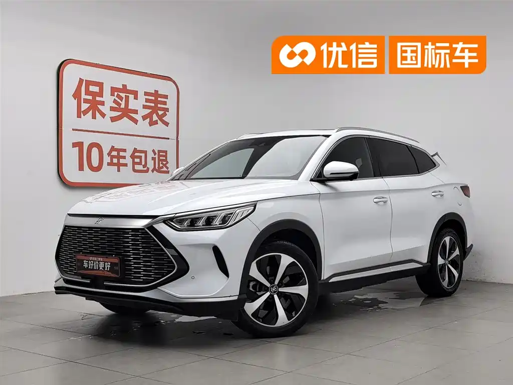 BYD PLUS New Energy 2022