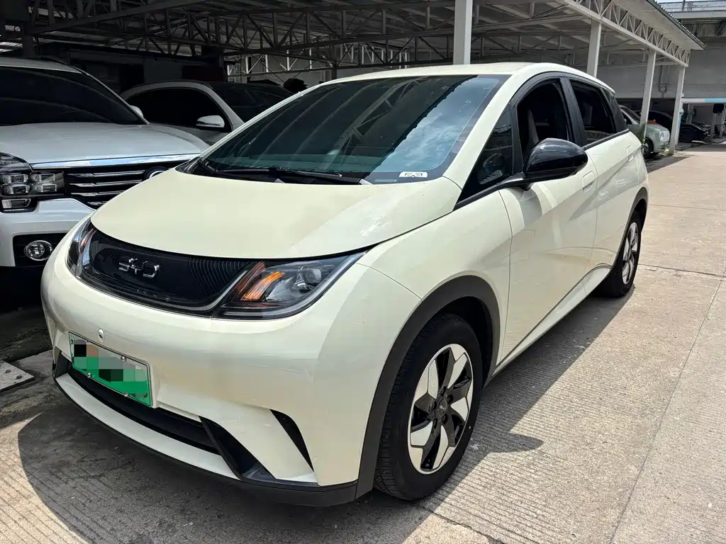 BYD Dolphin 2025
