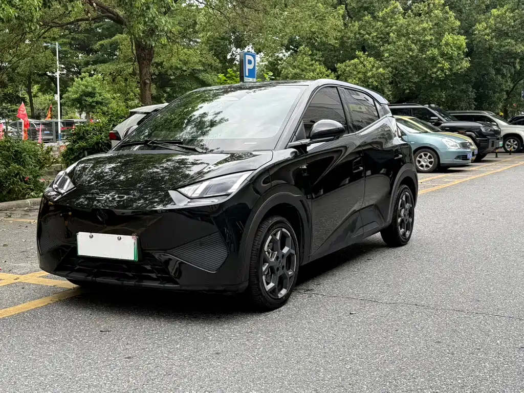 BYD Seagull 2025
