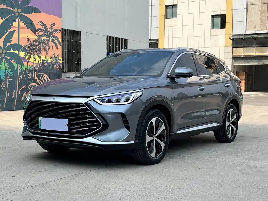 BYD PLUS New Energy 2022