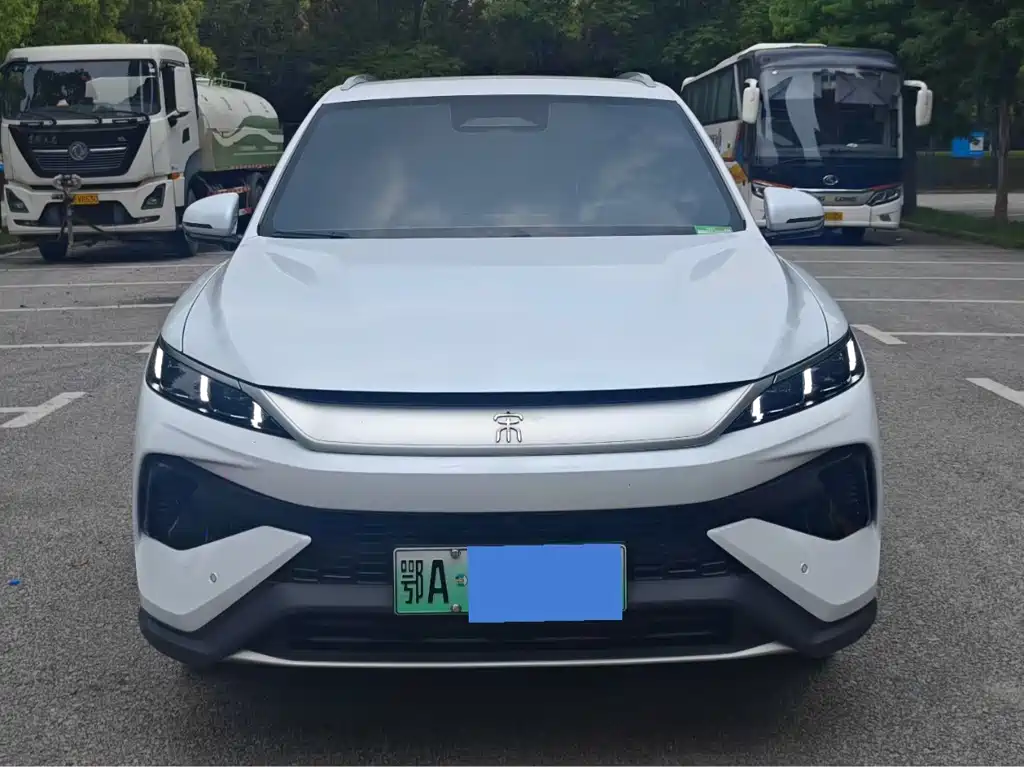 BYD Pro New Energy 2025
