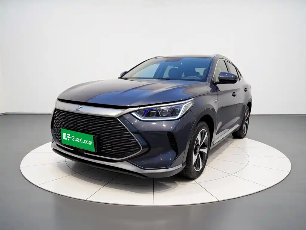 BYD PLUS New Energy 2022