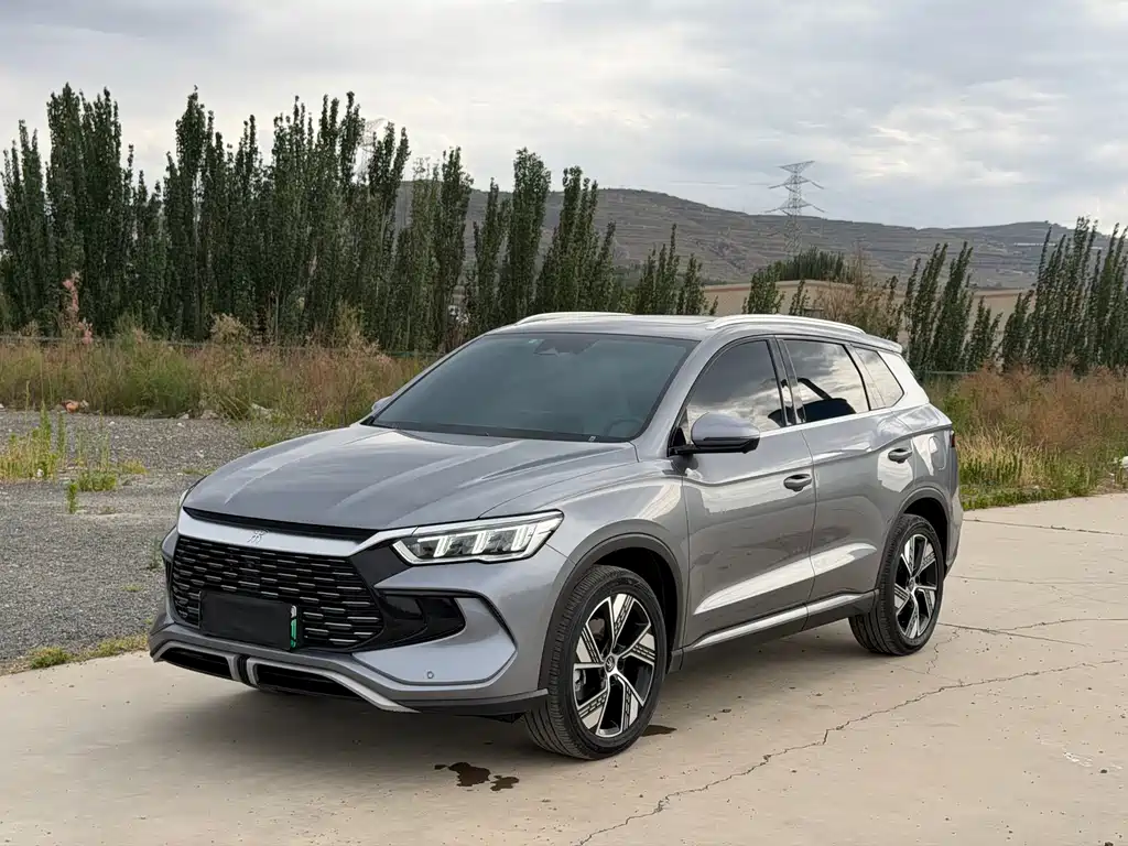 BYD Pro New Energy 2023