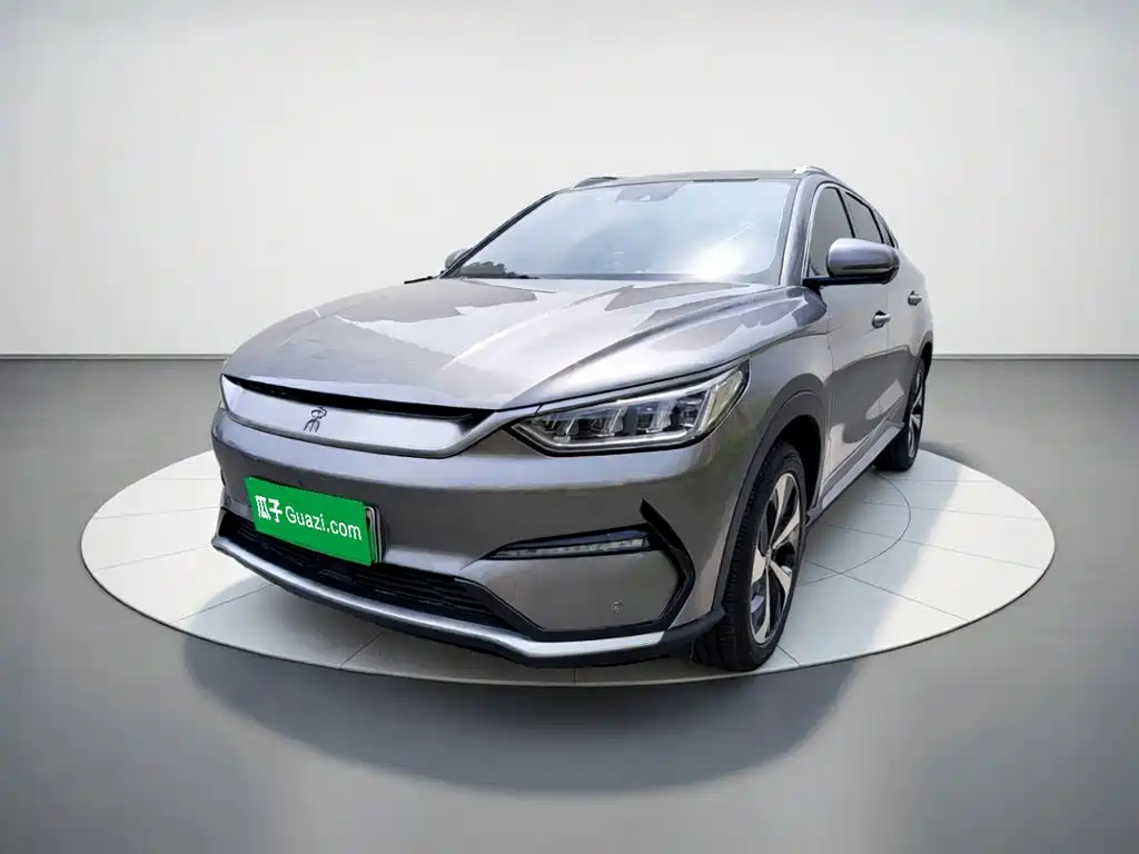 BYD PLUS New Energy 2021