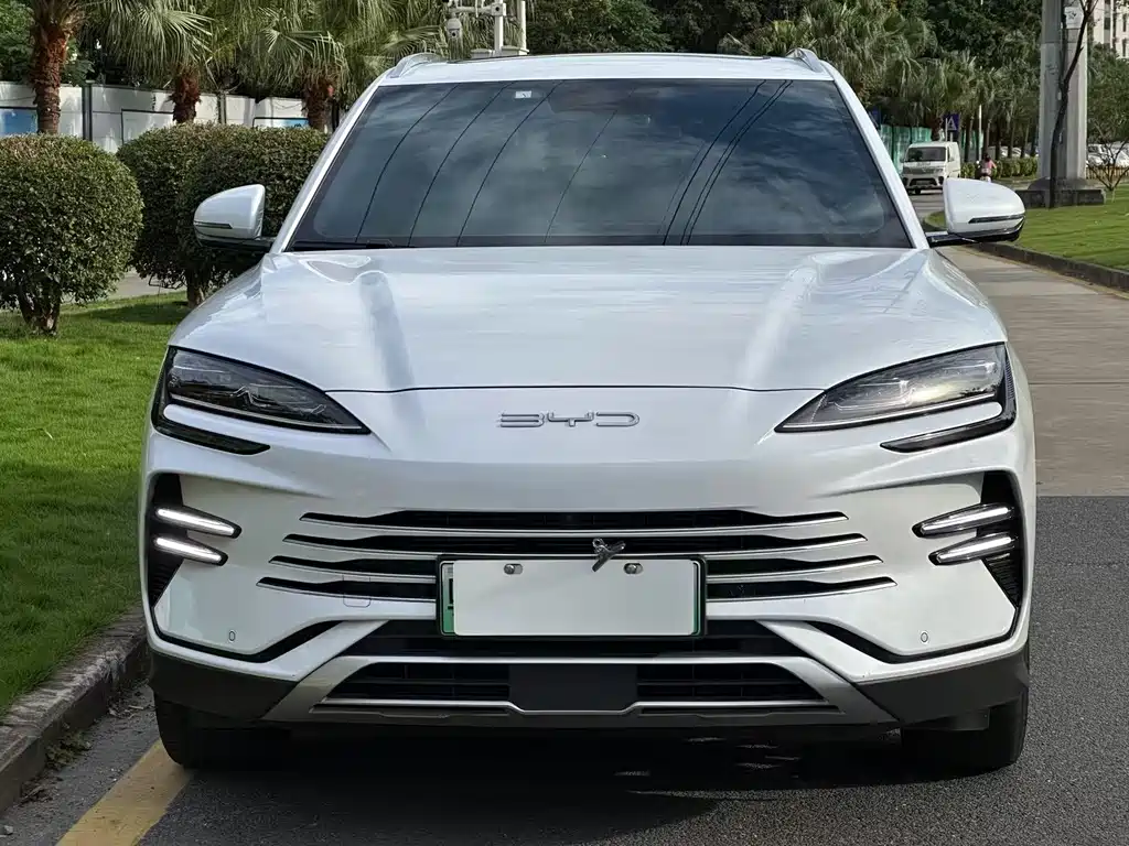 BYD PLUS New Energy 2023