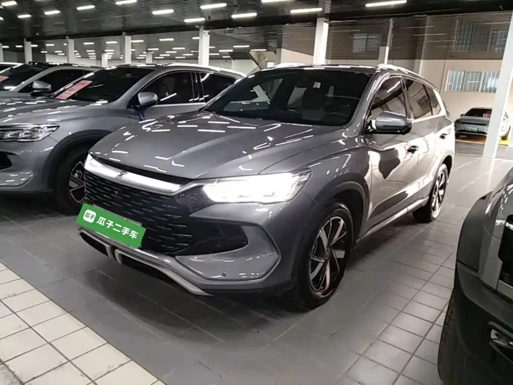BYD Pro New Energy 2025