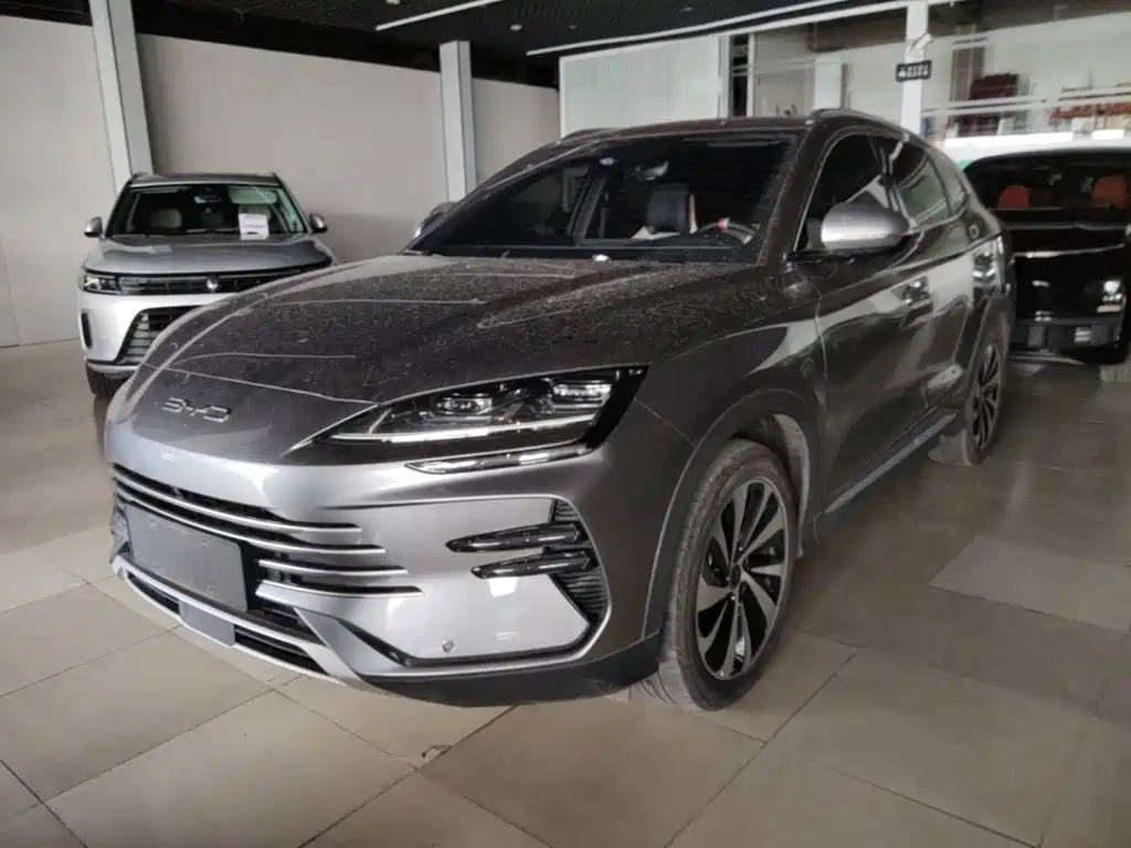 BYD PLUS New Energy 2024
