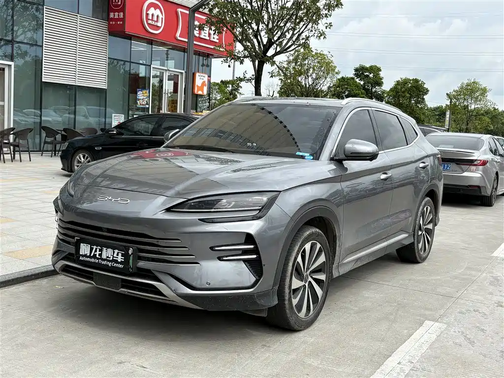 BYD PLUS New Energy 2024