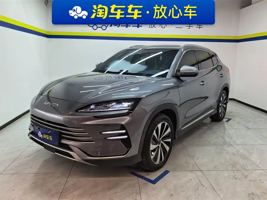 BYD PLUS New Energy 2024