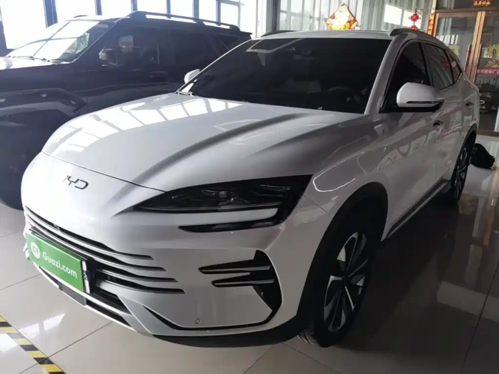 BYD PLUS New Energy 2025