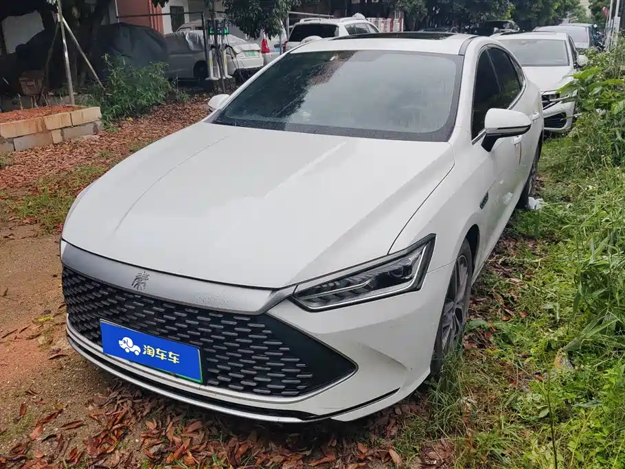 BYD Qin PLUS 2021
