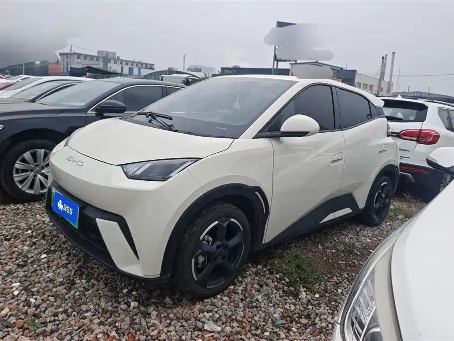 BYD Seagull 2024