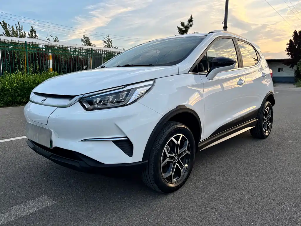 BYD Yuan Pro 2021