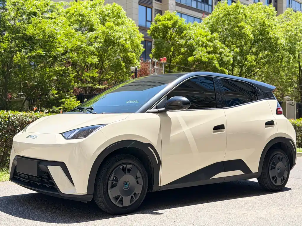BYD Seagull 2024