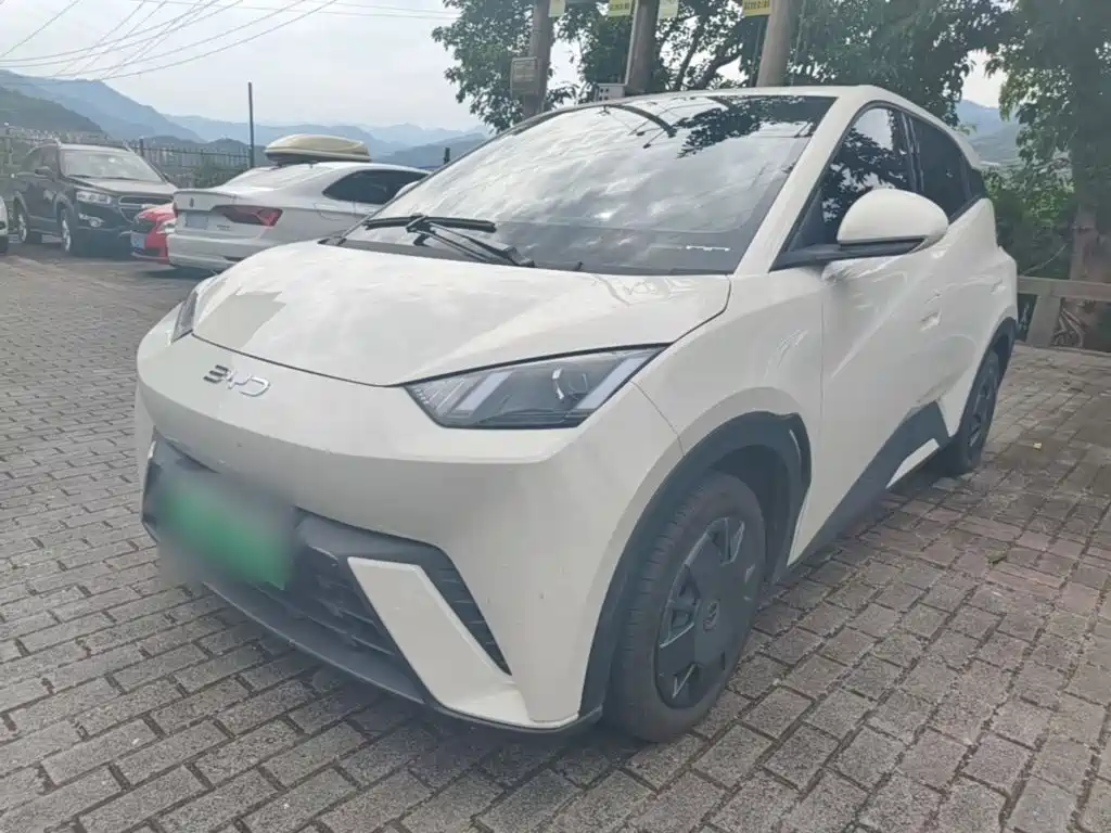 BYD Seagull 2024