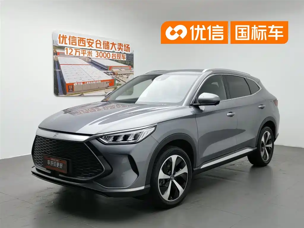BYD PLUS New Energy 2021