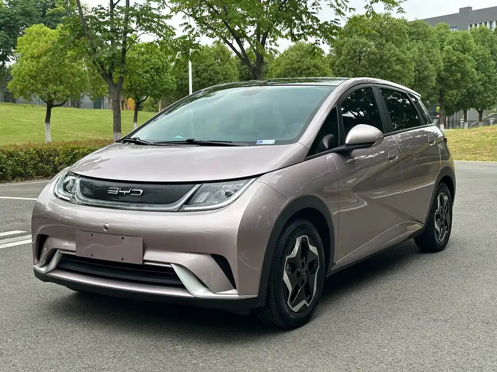 BYD Dolphin 2022