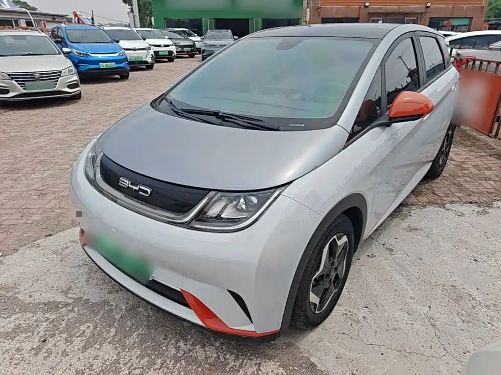BYD Dolphin 2022