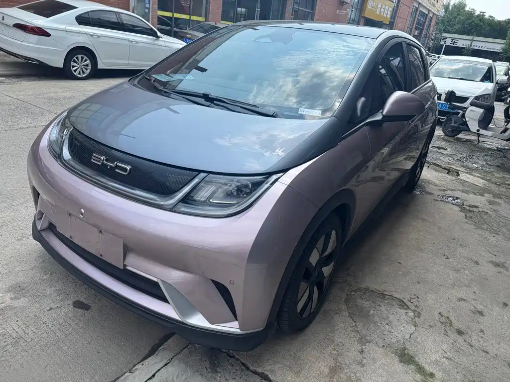 BYD Dolphin 2024