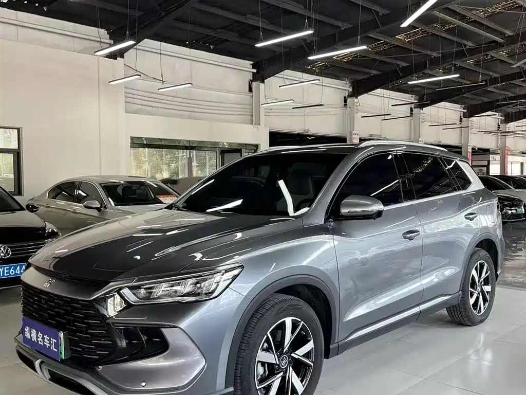 BYD Pro New Energy 2025