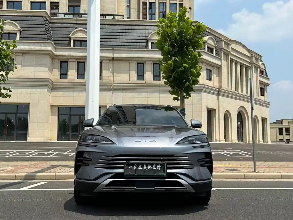 BYD PLUS New Energy 2024