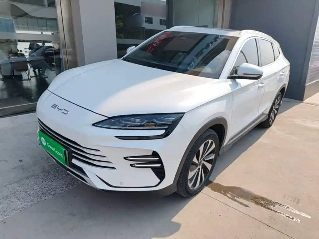 BYD PLUS New Energy 2024