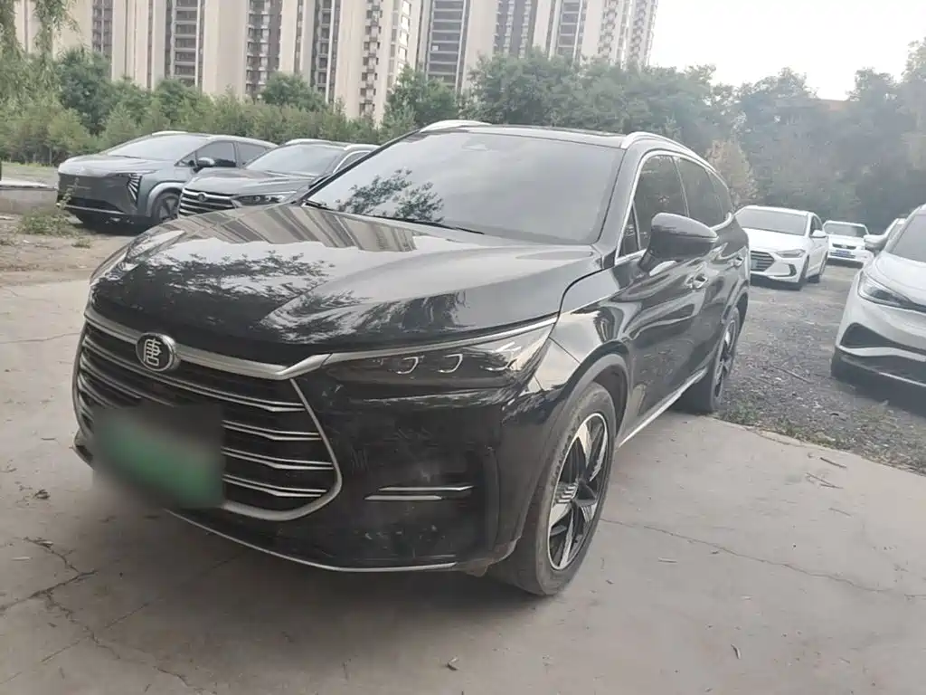 BYD Tang New Energy 2024