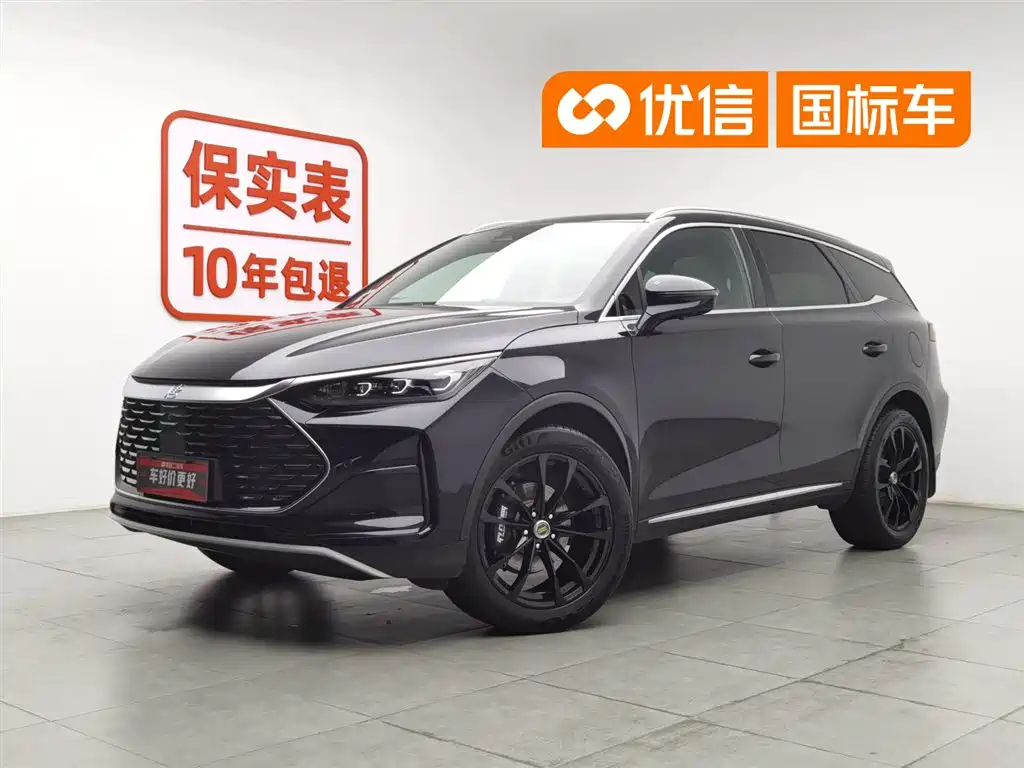 BYD Tang New Energy 2024