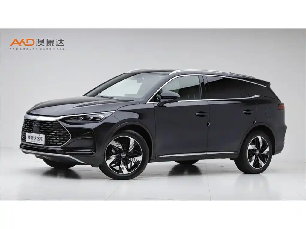 BYD Tang New Energy 2024