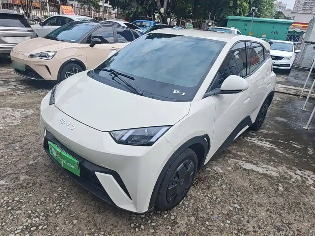 BYD Seagull 2024