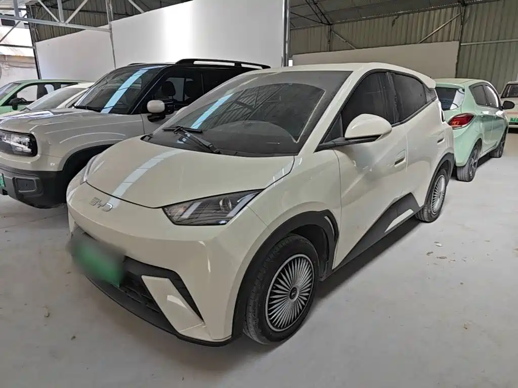 BYD Seagull 2024