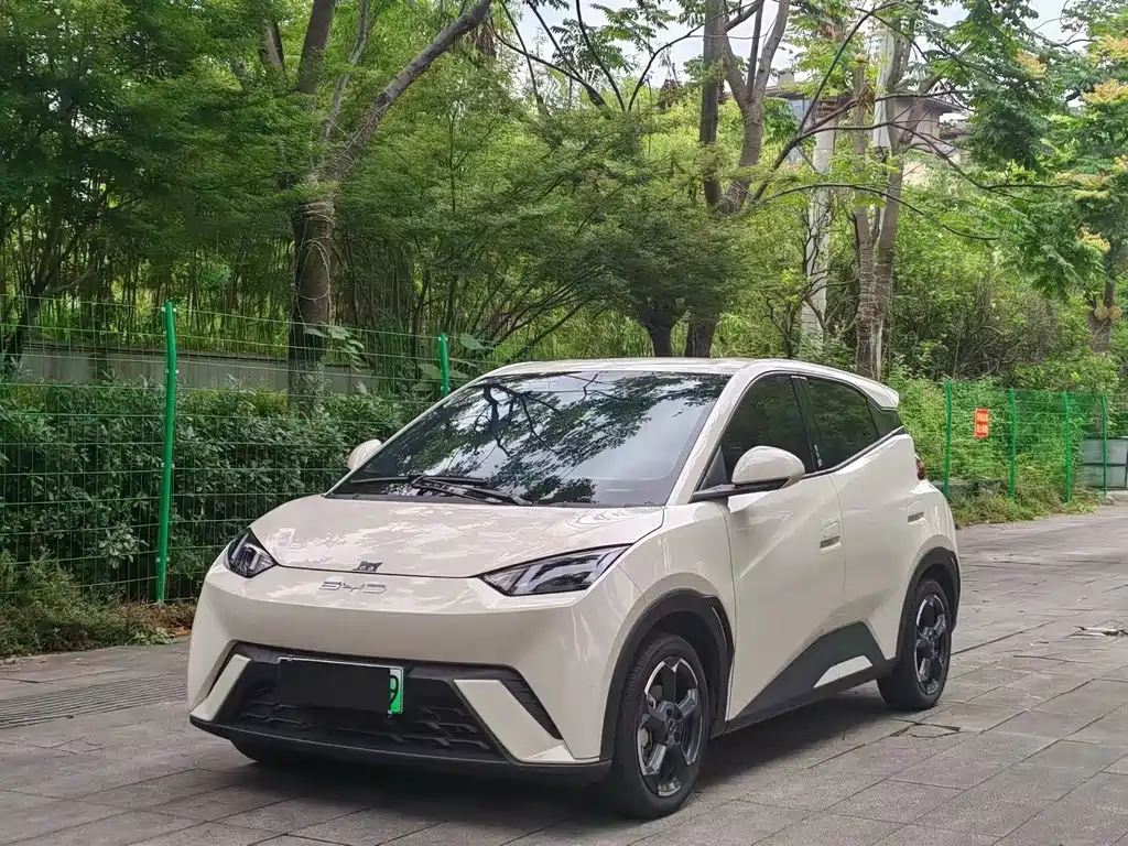 BYD Seagull 2024