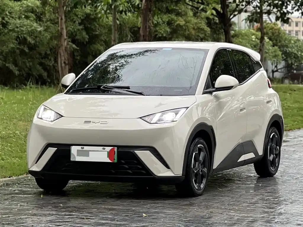 BYD Seagull 2024