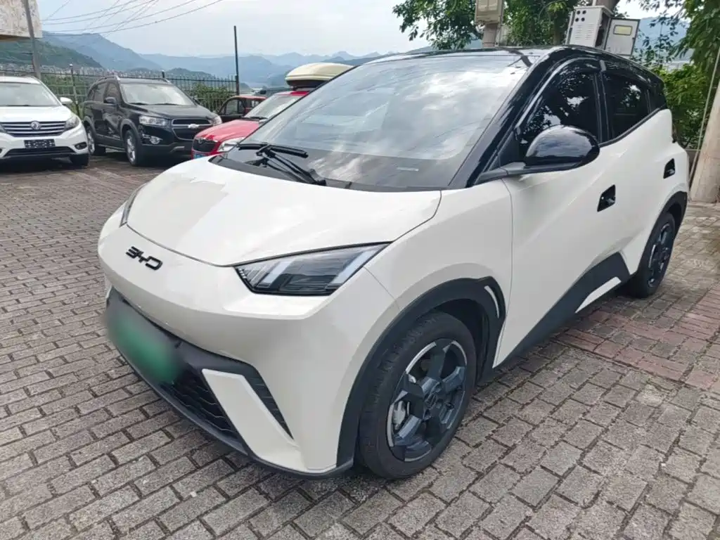 BYD Seagull 2024