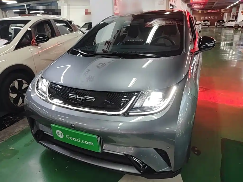 BYD Dolphin 2024
