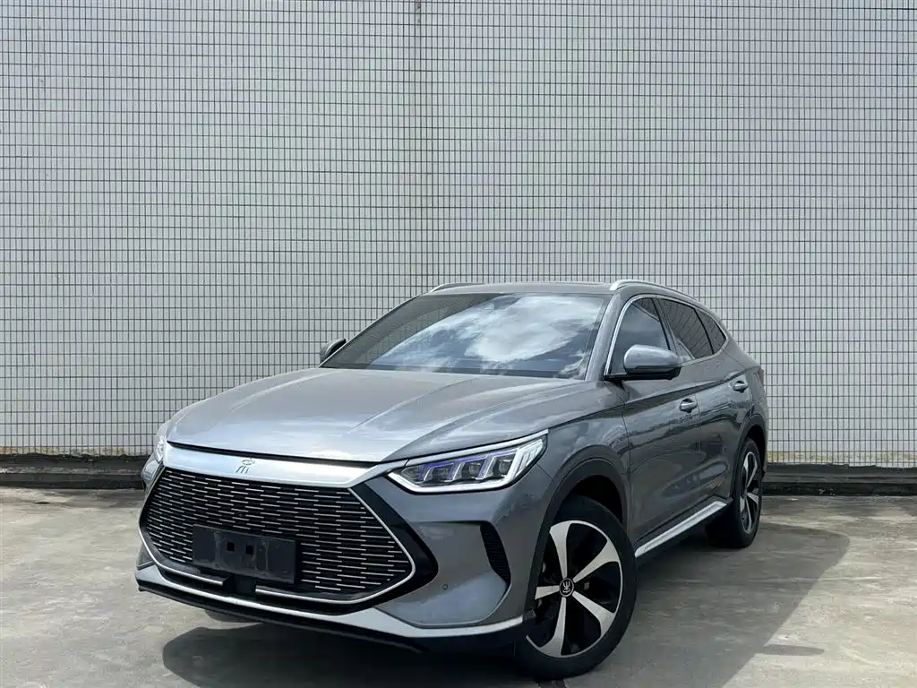 BYD PLUS New Energy 2021