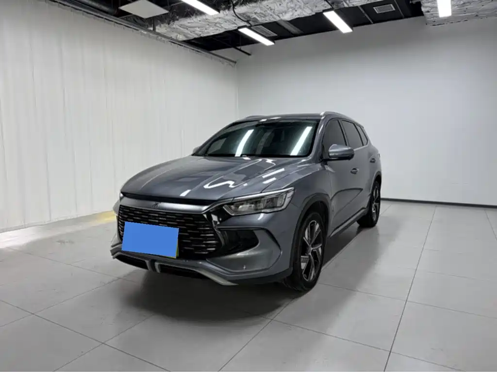BYD Pro New Energy 2024