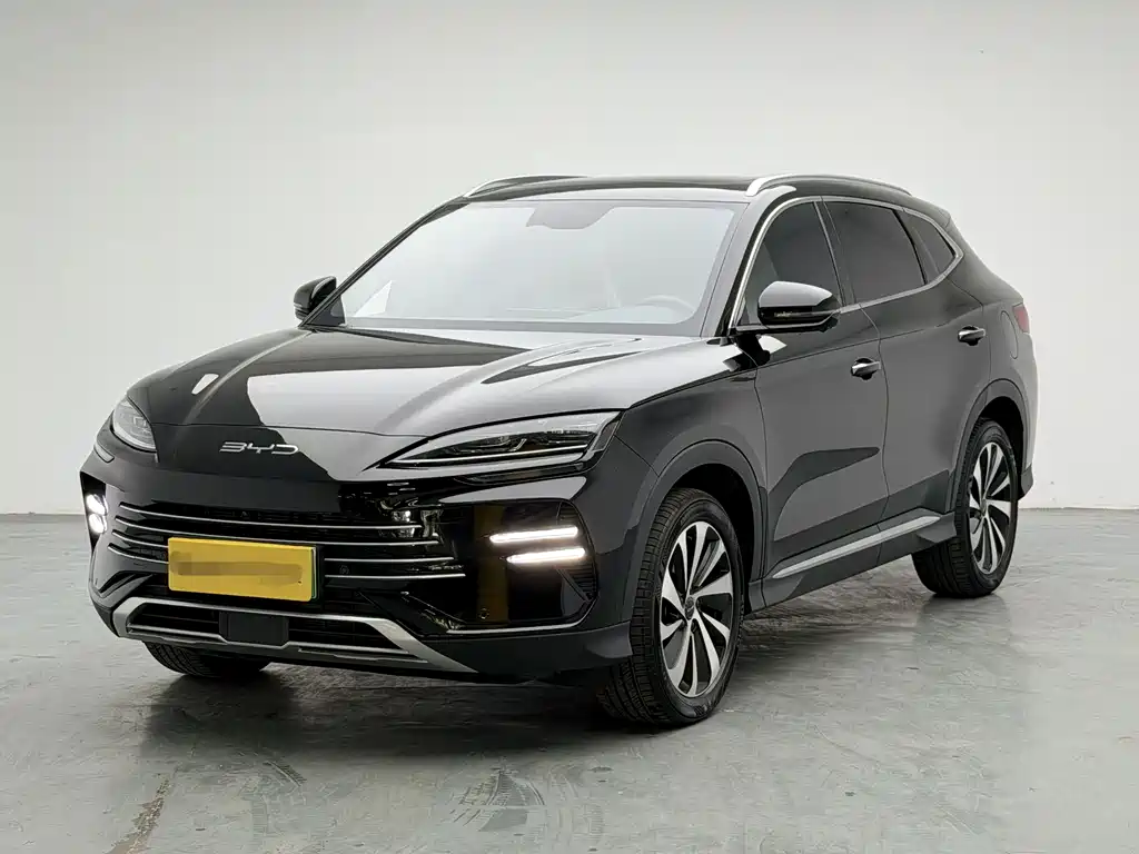 BYD PLUS New Energy 2024