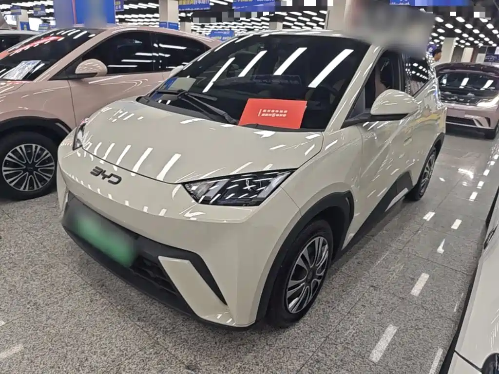 BYD Seagull 2024