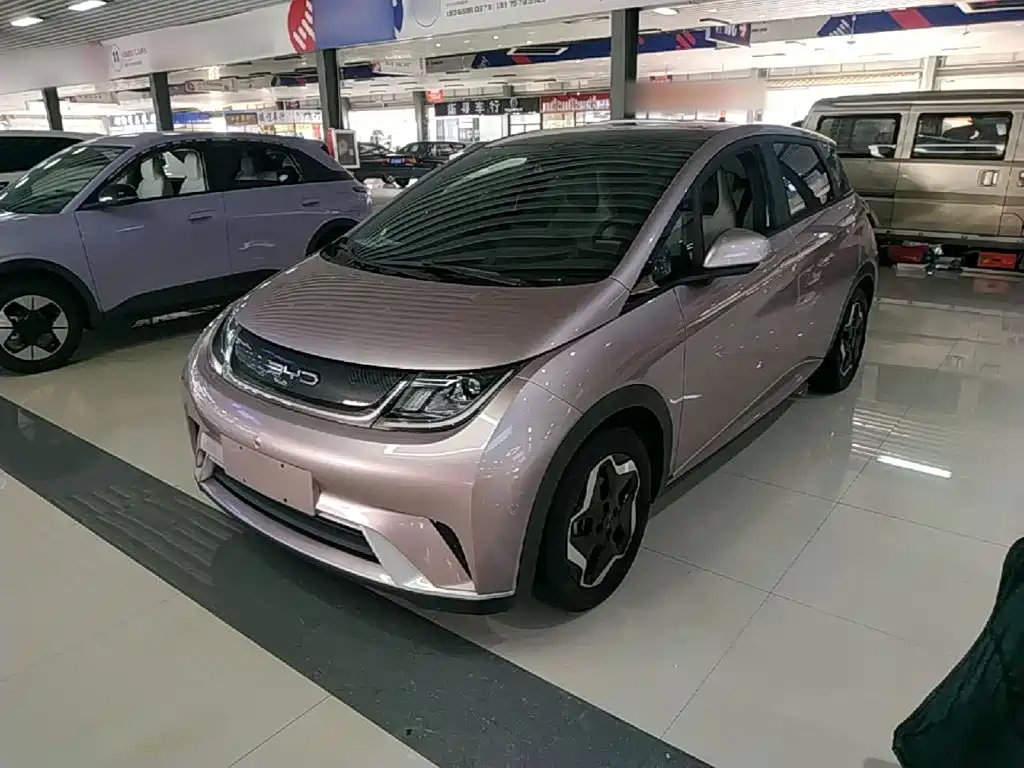 BYD Dolphin 2022