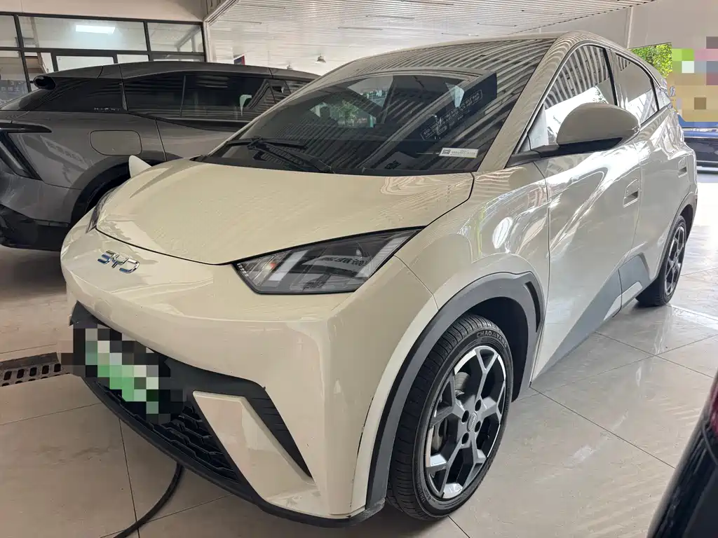 BYD Seagull 2025