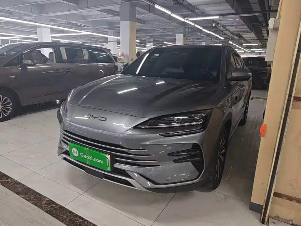 BYD PLUS New Energy 2024