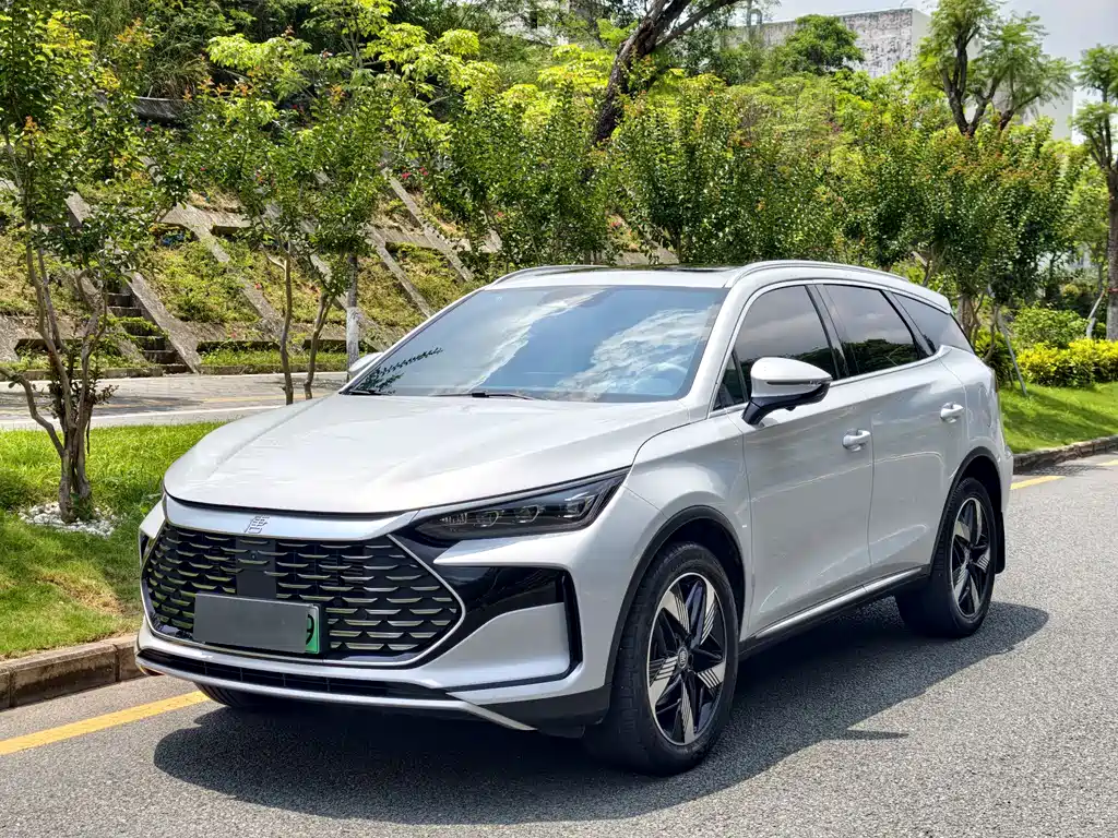BYD Tang New Energy 2024