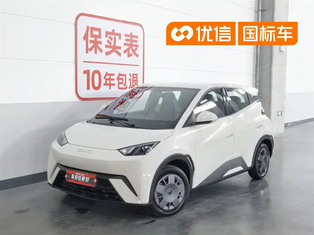BYD Seagull 2024