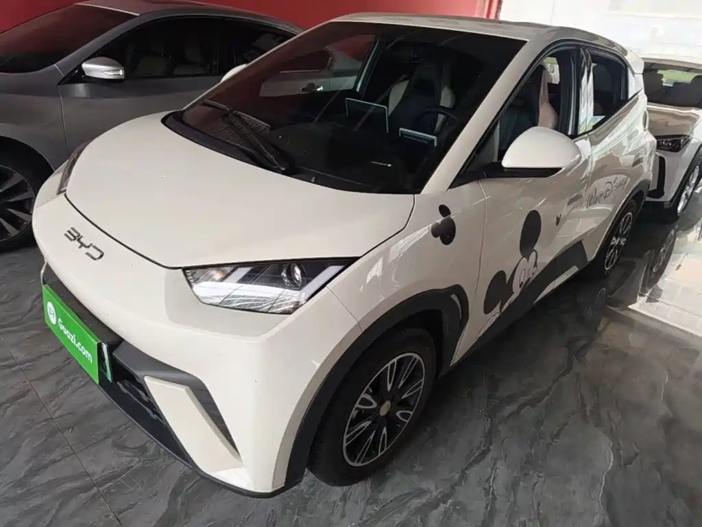 BYD Seagull 2024